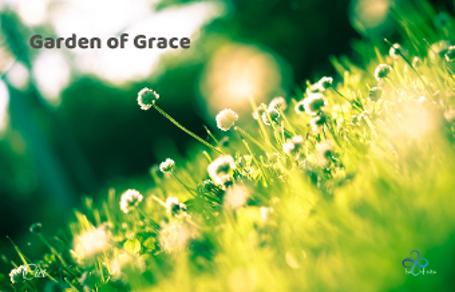Garden of Grace