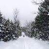 New Earth Estate Winter driveway