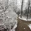New Earth Estate Winter time