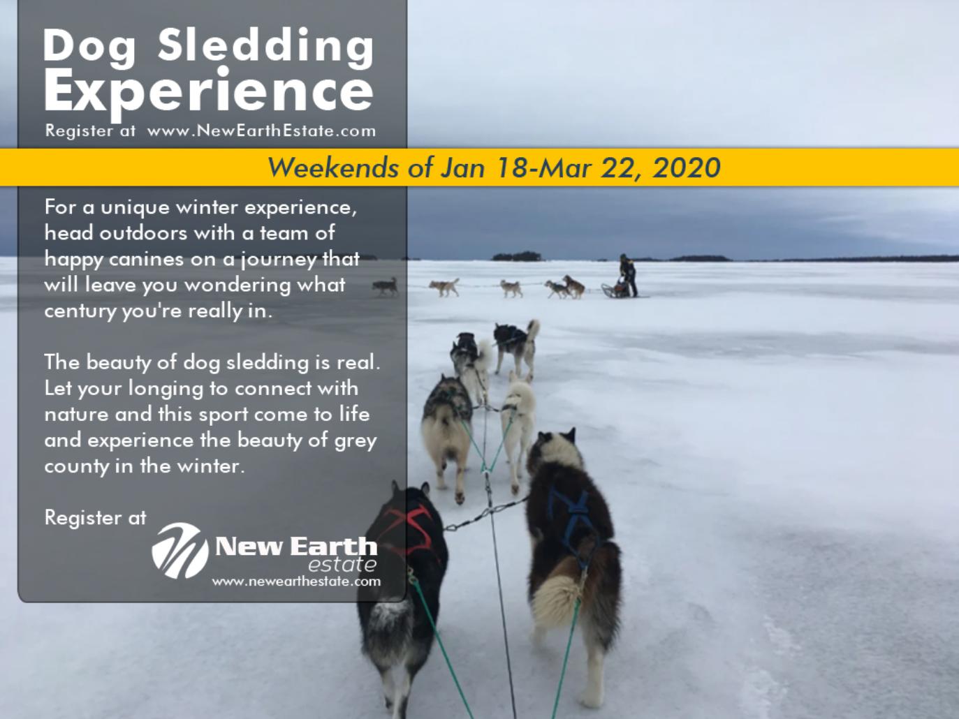 New Earth Estate- Dog Sledding