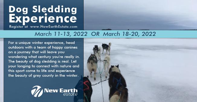 Dog Sledding Experience