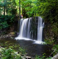 Waterfalls around New Earth Estate