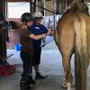 Horsemanship around New Earth Estate