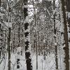 New Earth Estate Winter