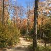 New Earth Estate Fall