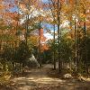 New Earth Estate Fall