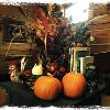 New Earth Estate Thanks Giving
