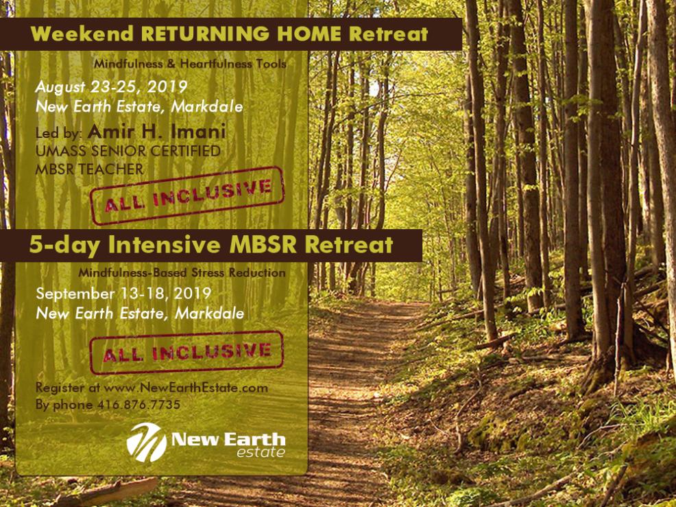 MBSR & Returning Home