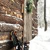 Winter Time