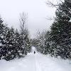 Winter Time