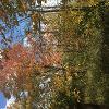 Fall at New Earth Estate