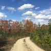 Fall at New Earth Estate