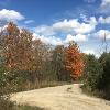 Fall at New Earth Estate