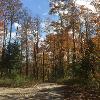 Fall at New Earth Estate
