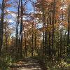 Fall at New Earth Estate