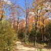 Fall at New Earth Estate