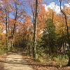 Fall at New Earth Estate