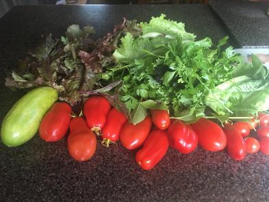Organic Fresh Vegetables