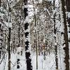 Winter Time