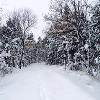 Winter Time
