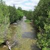 Blacks Creek