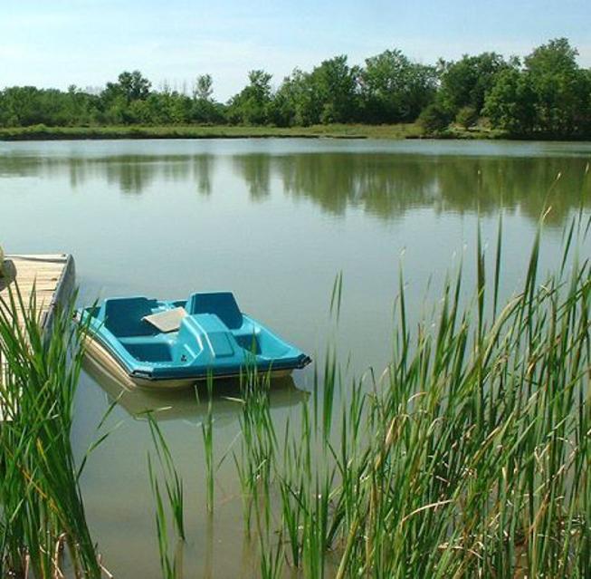 Natural Pond at New Earth Estate
