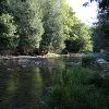 New Earth Estate Blacks Creeck, A Branch Of Saugeen River, Saugeen River
