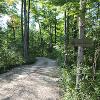 New Earth Estate Tipi Village Drive Way